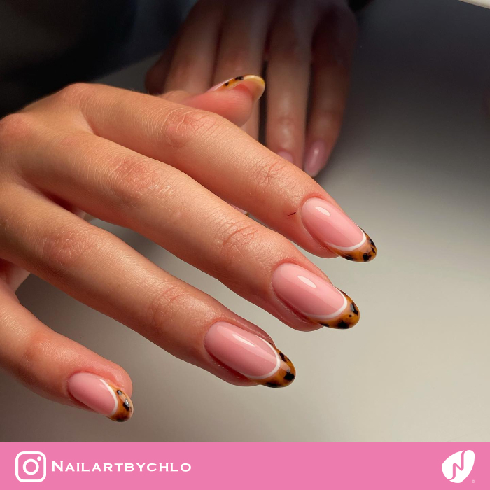 Tortie Tips With a White Accent