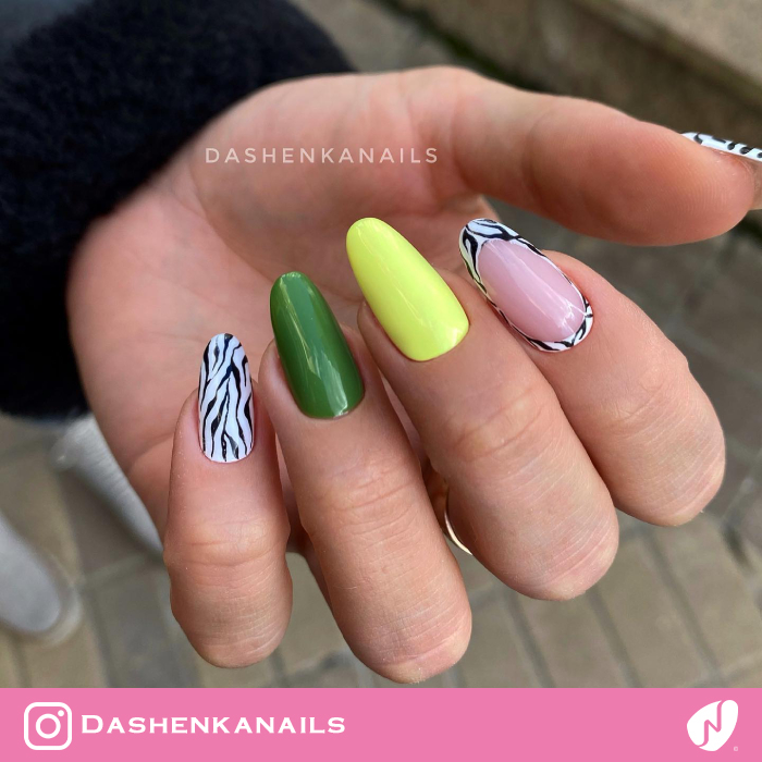 Zebra Outline for Summer